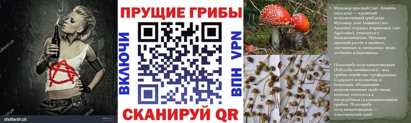 Псилоцибиновые грибы прущие грибы  Курган 